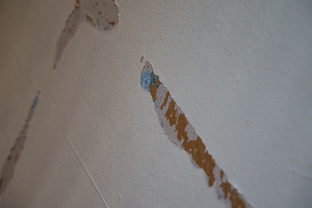 Basement Water Removal service in St. Joseph, MO